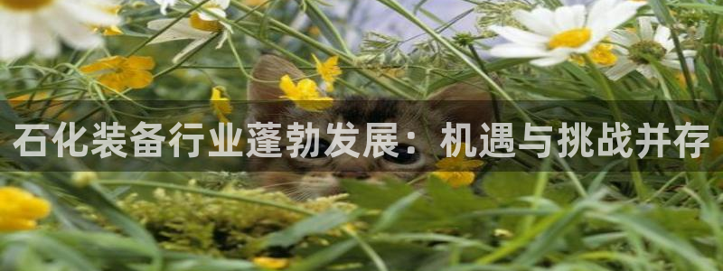 新宝gg平台注册?