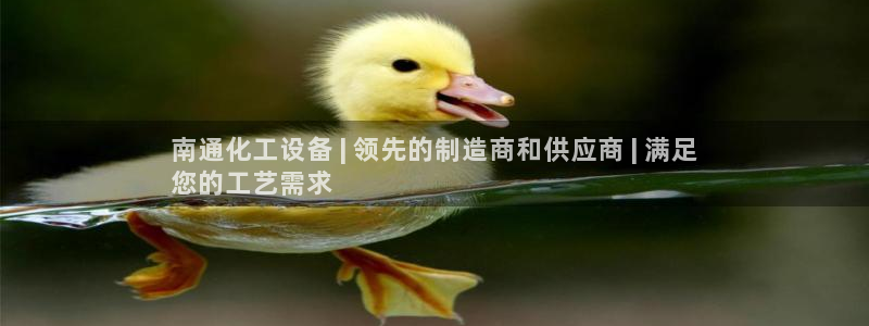 新宝gg被抓