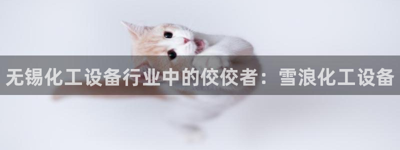 新宝gg6—创造奇迹官方登录
