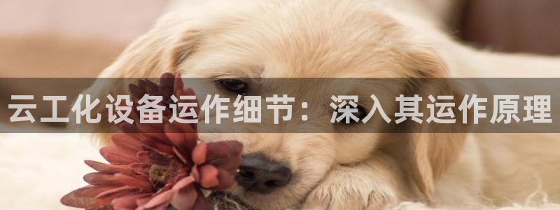 新宝gg创造奇迹登录平台