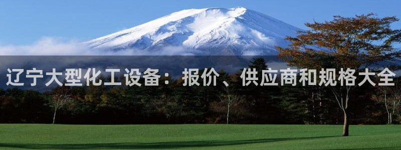 新宝gg最新更新内容与历史回顾