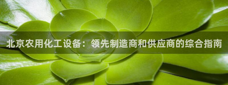 新宝gg一创造奇迹