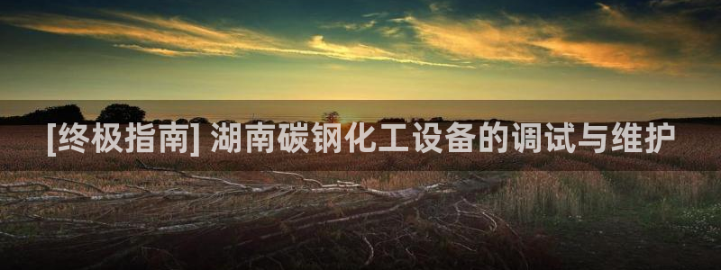 新宝gg平台注册登录指南