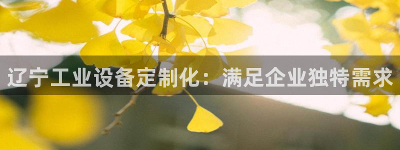 新宝gg案件
