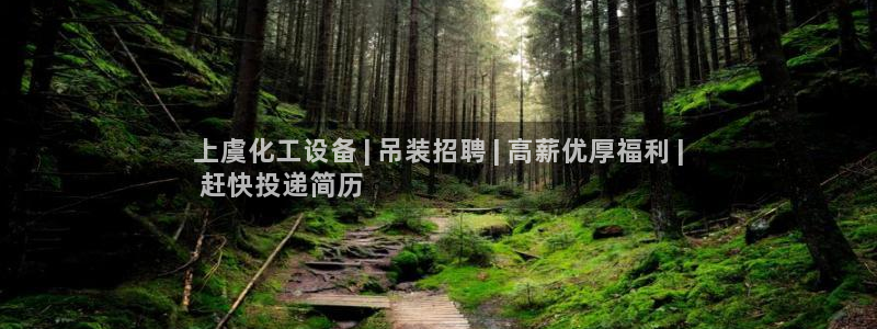 新宝gg黑钱怎么办