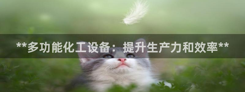 新宝gg平台是否合法