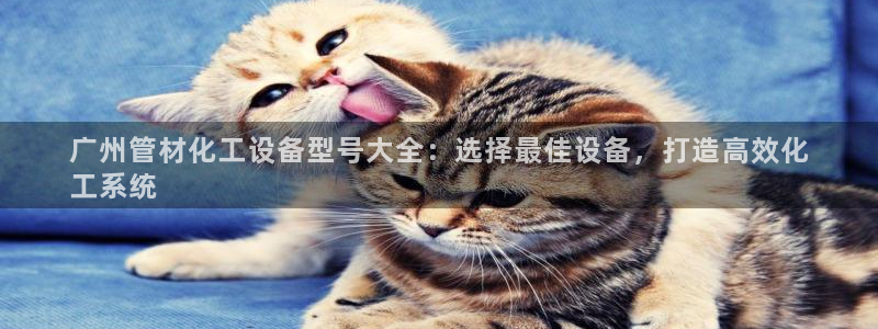 新宝GG创奇迹