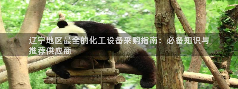 新宝gg官网登录地址