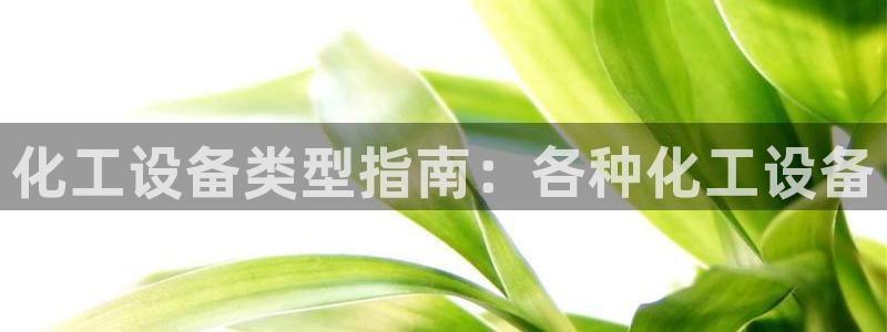 新宝gg创造奇迹登录注册优势