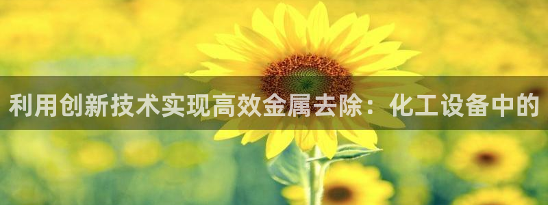 新宝gg平台注册