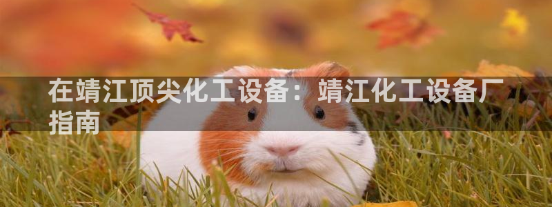 新宝gg平台―创造奇迹登录