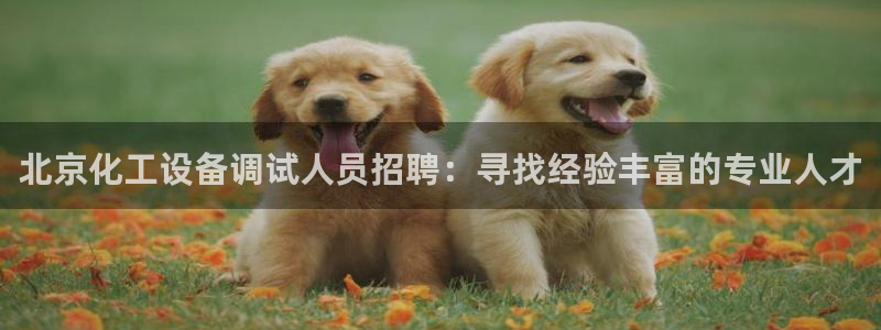 新宝gg奇迹登录怎么登录不了