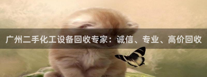 新宝测速gg
