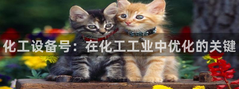 新宝gg创造奇迹手机登录