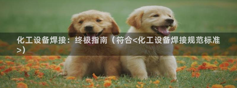 新宝gg创造奇迹登录最简单三个步骤
