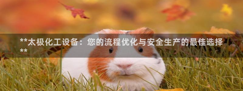 新宝gg售后人工客服电话