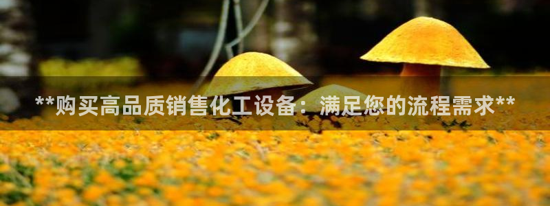 新宝gg是合法的吗