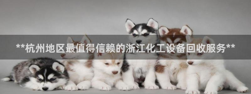 新宝gg平台注册登录指南