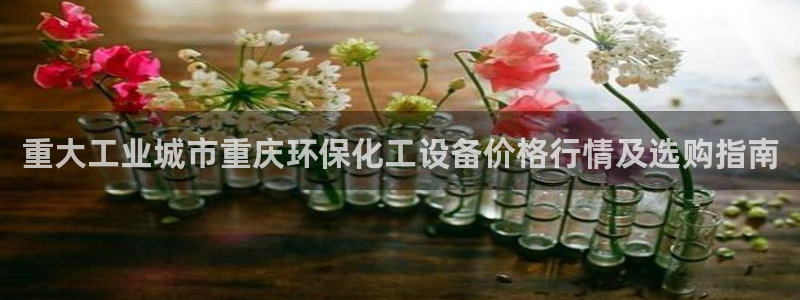 新宝gg平台注册登录指南