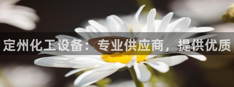 新宝gg黑钱怎么办