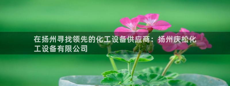 新宝gg创造奇奇迹