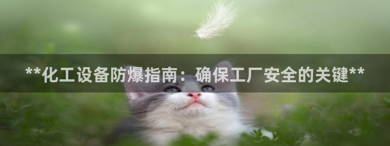 新宝gg一创造奇迹登