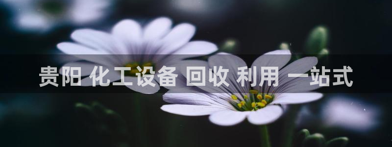 新宝gg售后人工客服电话