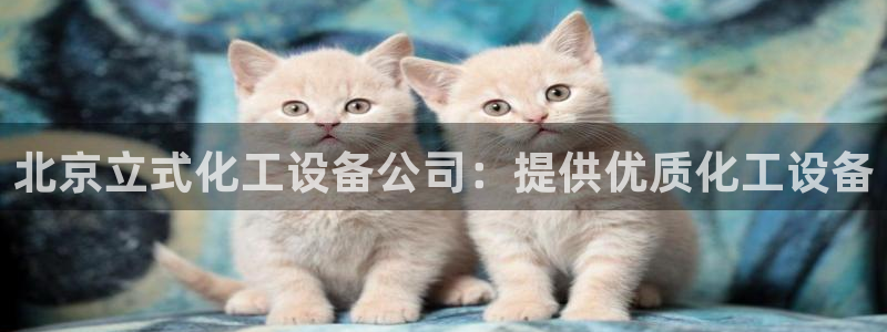 新宝gg一创造奇迹用户登录