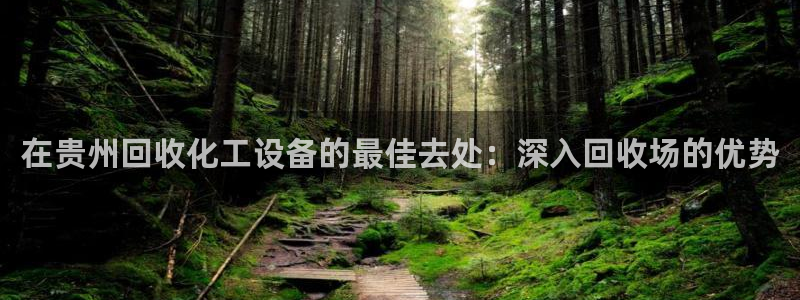 新宝gg售后人工客服电话