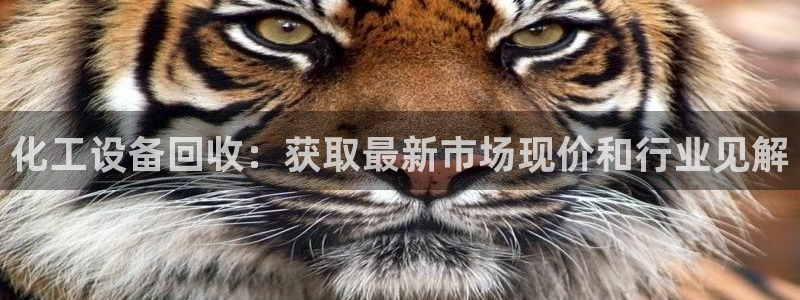 新宝gg注册平台