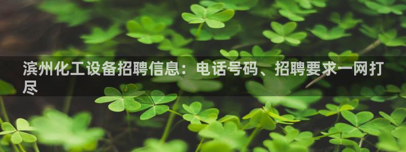 新宝gg招商主管