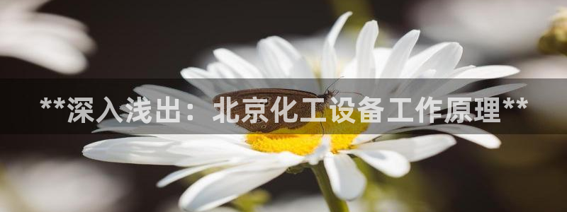 新宝gg登录入口