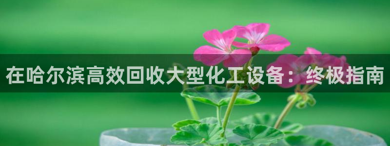 新宝gg平台注册登录指南