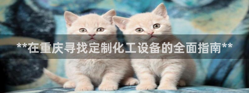 新宝gg案件