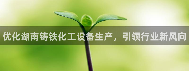 新宝gg官网最新版本更新内容介绍