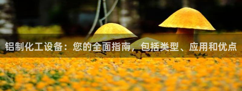 新宝gg一创造奇迹代理测速