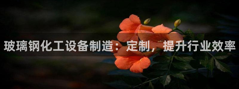 新宝gg创造奇迹平台登录入口
