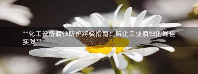 新宝gg游戏平台客服