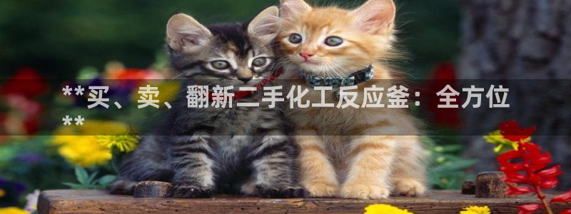 新宝gg注册