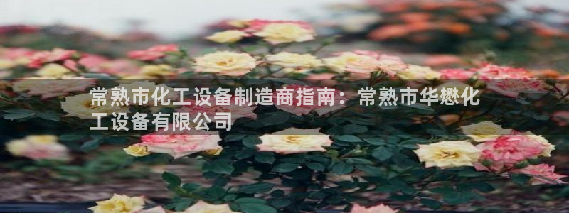 新宝gg官网登录地址