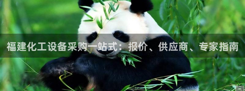 新宝gg官网登录地址