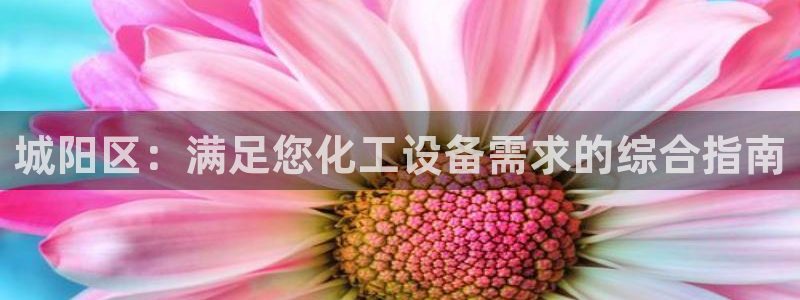 新宝GG平台电话