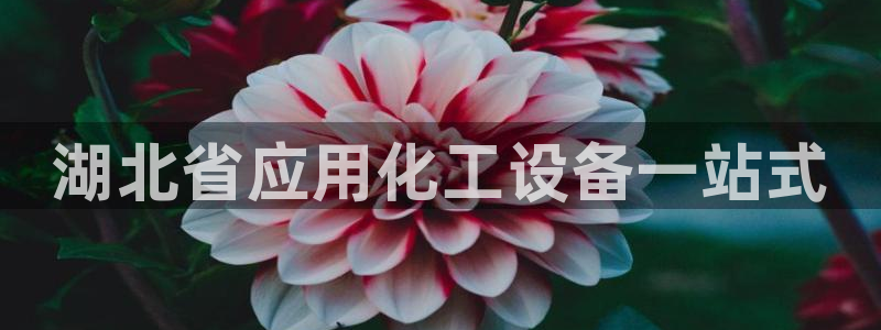 新宝gg一创造奇迹登录