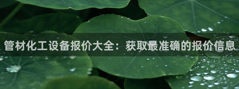 新宝gg案件
