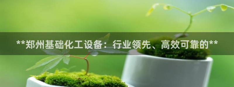 新宝gg一创造奇迹登陆新