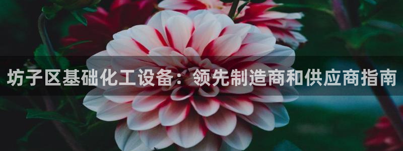 新宝GG平台负责人