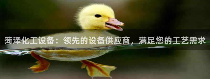 新宝GG平台招商