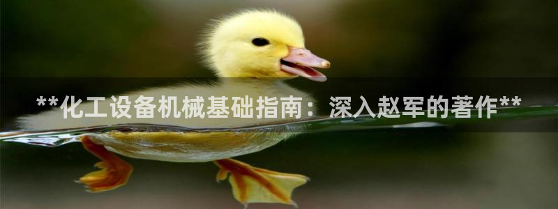 新宝gg游戏首页