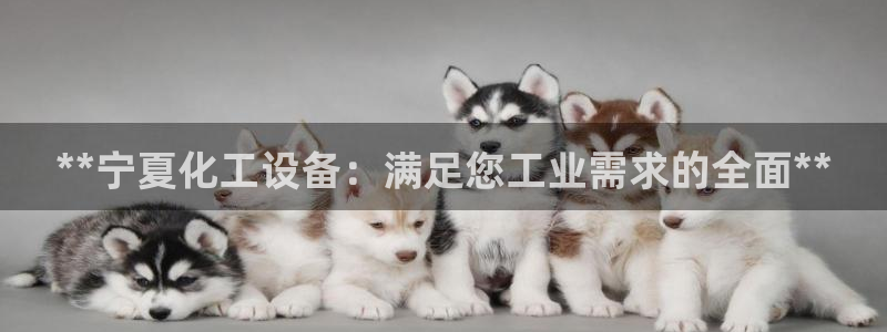 新宝gg创造奇迹登录