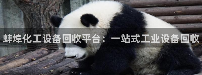 新宝gg官网登录代理